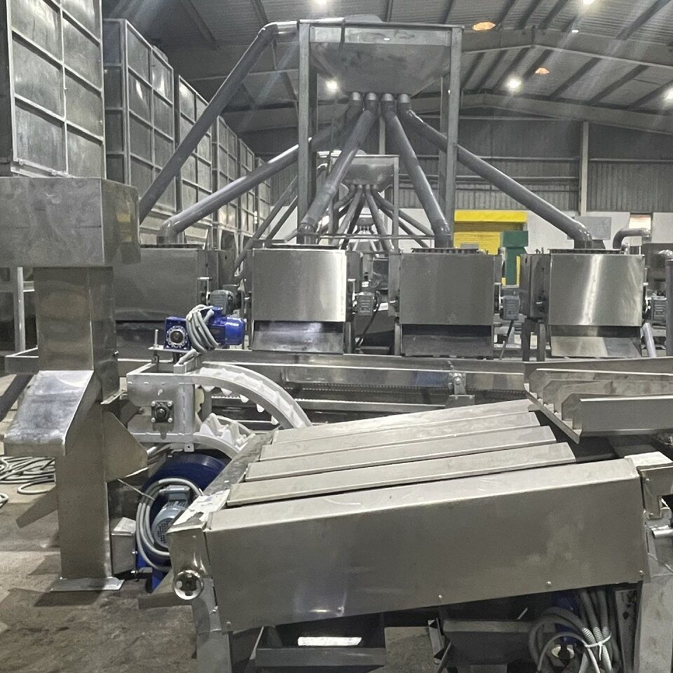 machine de noix de cajou